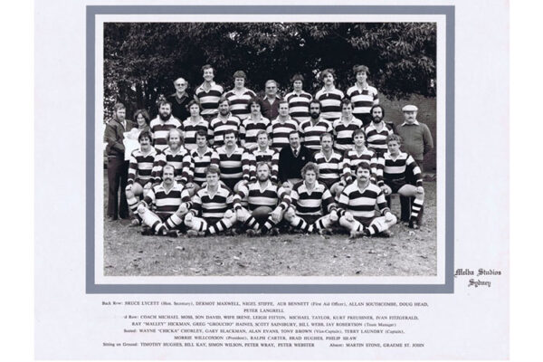 terry-laundry1 terry-laundry1